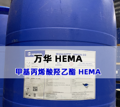  �׻���ϩ�������� HEMA 2-HEMA